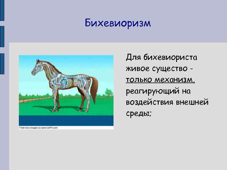 Бихевиоризм Для бихевиориста живое существо только механизм, реагирующий на воздействия внешней среды; 