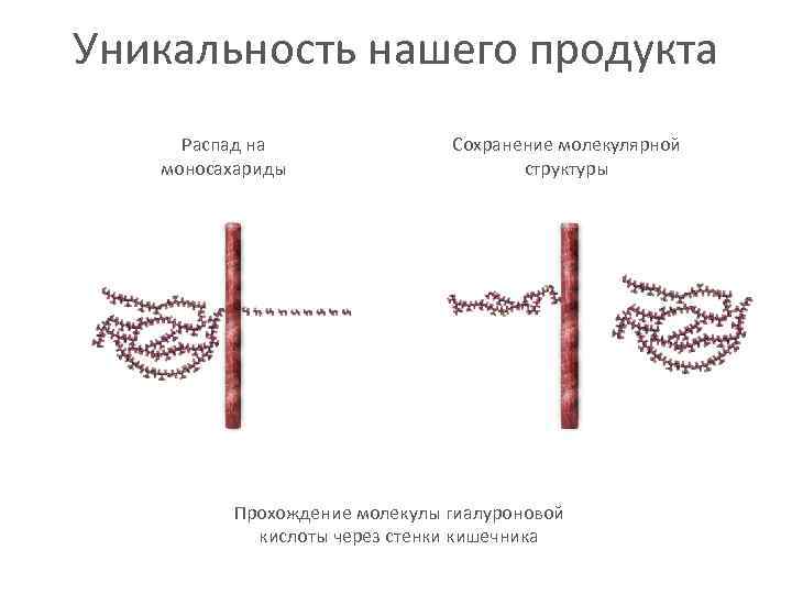 Уникальность нашего продукта Распад на моносахариды Сохранение молекулярной структуры Прохождение молекулы гиалуроновой кислоты через