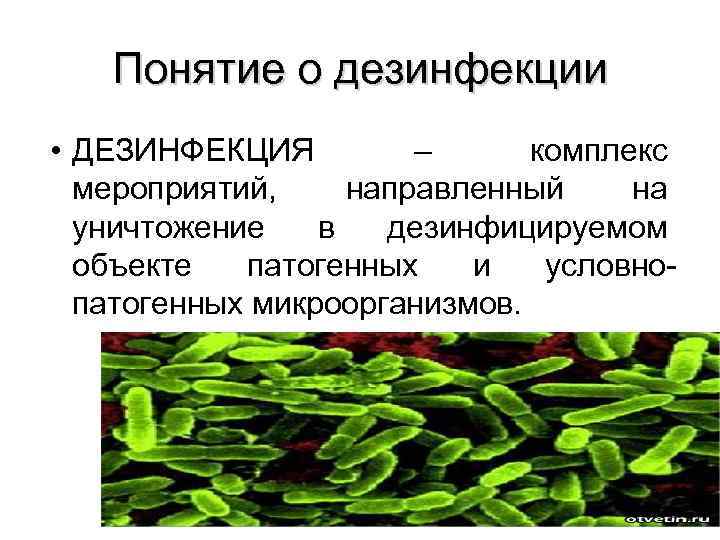 Понятие о дезинфекции • ДЕЗИНФЕКЦИЯ – комплекс мероприятий, направленный на уничтожение в дезинфицируемом объекте