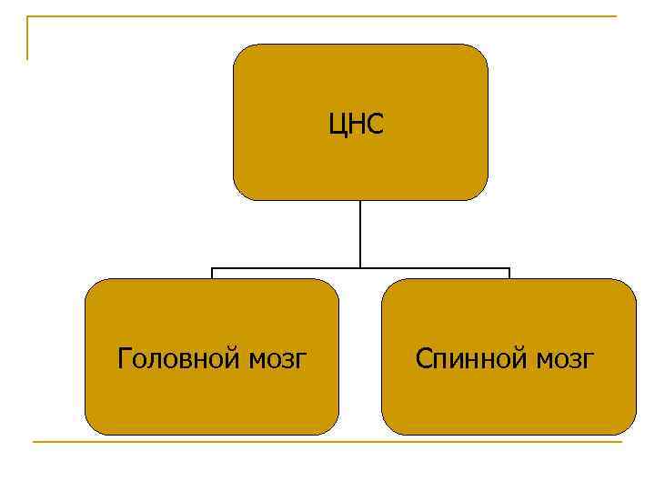 Гигиена нервной системы презентация 9 класс