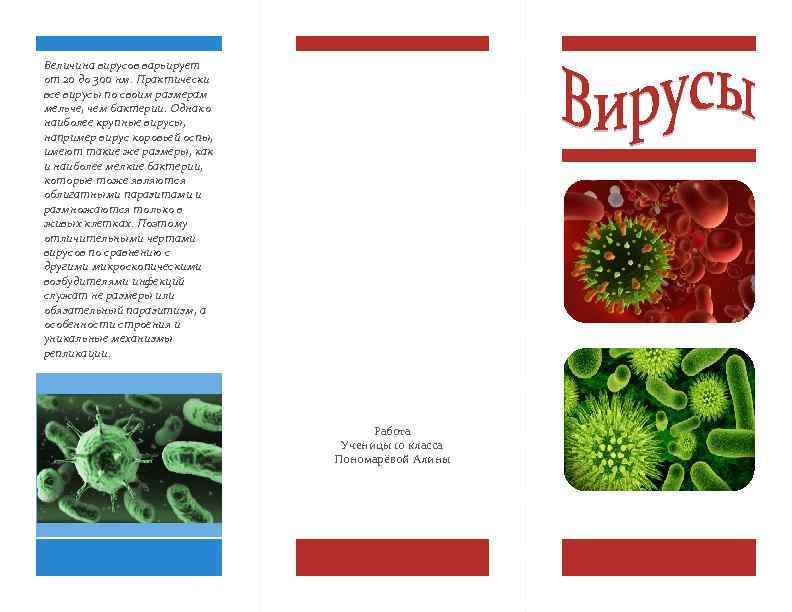 Величина вирусов варьирует от 20 до 300 нм. Практически все вирусы по своим размерам