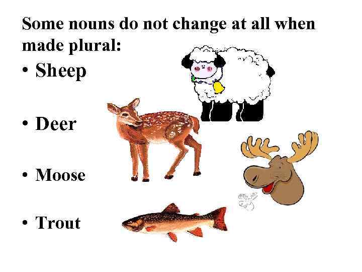Some nouns do not change at all when made plural: • Sheep • Deer