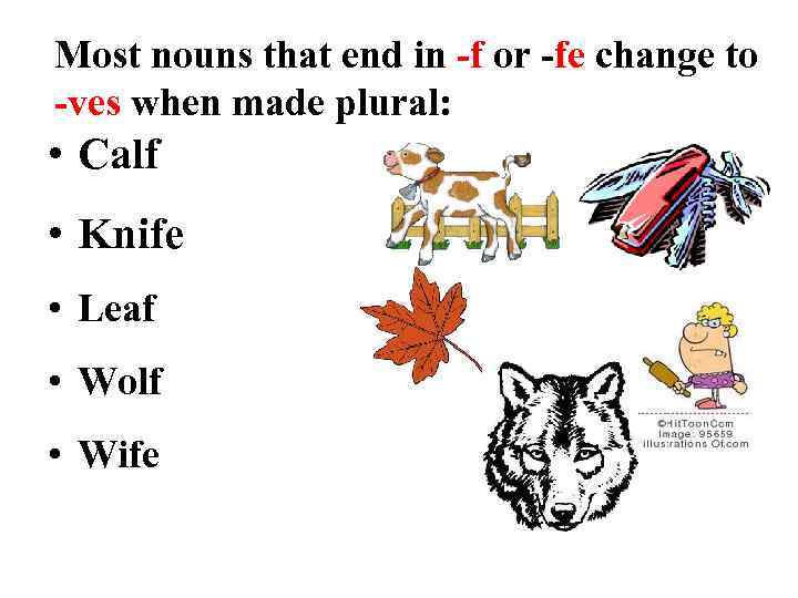 Most nouns that end in -f or -fe change to -ves when made plural: