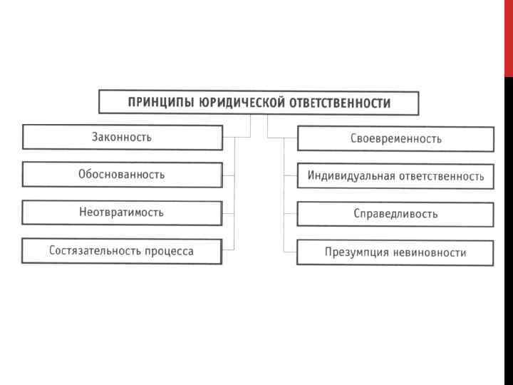 Юридическая ответственность схемы