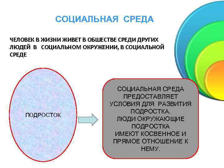 СОЦИАЛЬНАЯ СРЕДА ЧЕЛОВЕК В ЖИЗНИ ЖИВЕТ В ОБШЕСТВЕ СРЕДИ ДРУГИХ ЛЮДЕЙ В СОЦИАЛЬНОМ ОКРУЖЕНИИ,
