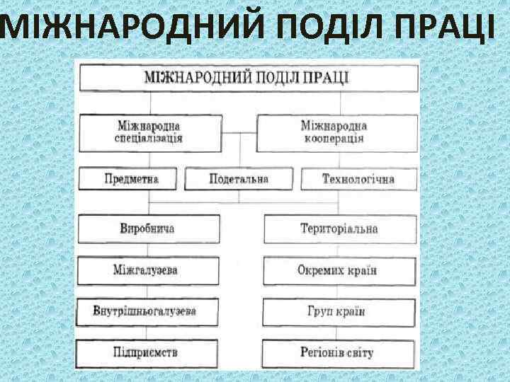 МІЖНАРОДНИЙ ПОДІЛ ПРАЦІ 