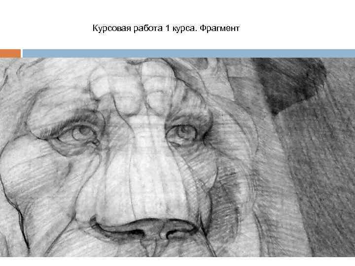 Курсовая работа 1 курса. Фрагмент 