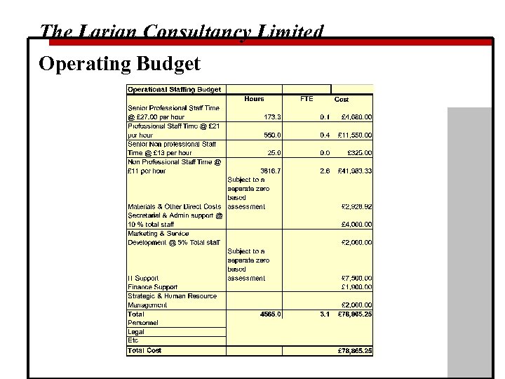 The Larian Consultancy Limited Operating Budget 