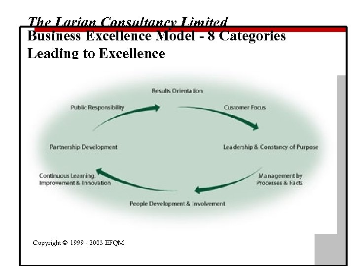 The Larian Consultancy Limited Business Excellence Model - 8 Categories Leading to Excellence Copyright