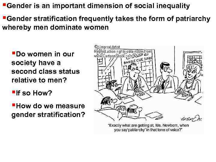 §Gender is an important dimension of social inequality §Gender stratification frequently takes the form