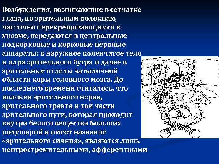 Возбуждения, возникающие в сетчатке глаза, по зрительным волокнам, частично перекрещивающимся в хиазме, передаются в