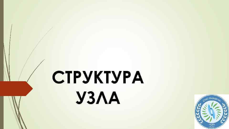 СТРУКТУРА УЗЛА 