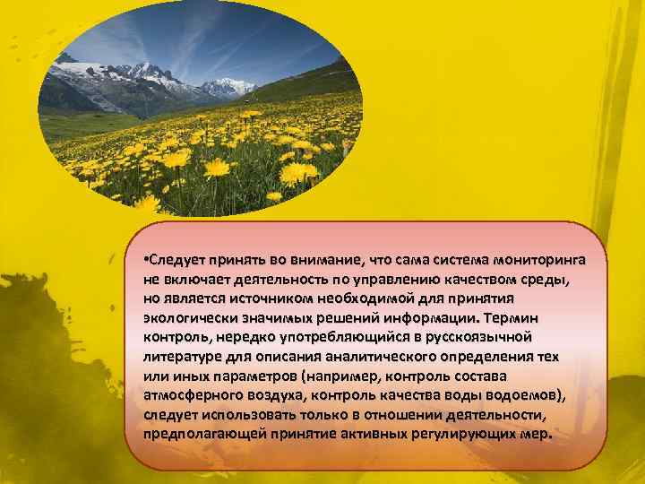  • Следует принять во внимание, что сама система мониторинга не включает деятельность по