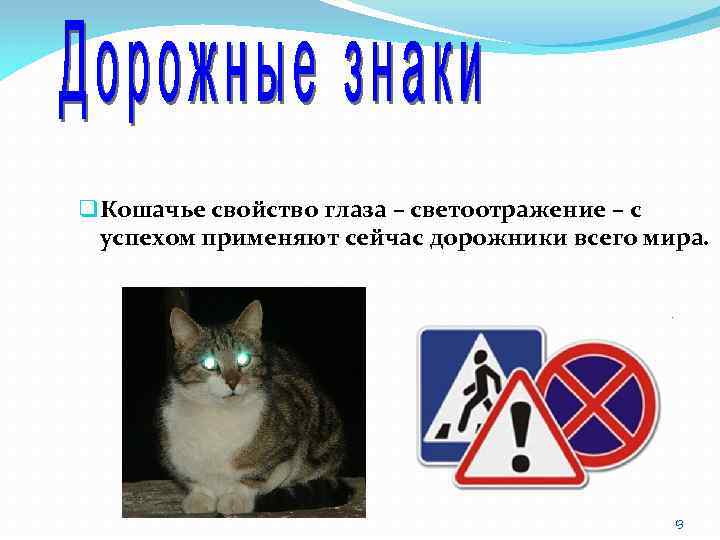 q Кошачье свойство глаза – светоотражение – с успехом применяют сейчас дорожники всего мира.