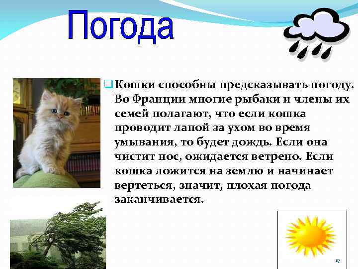 q Кошки способны предсказывать погоду. Во Франции многие рыбаки и члены их семей полагают,