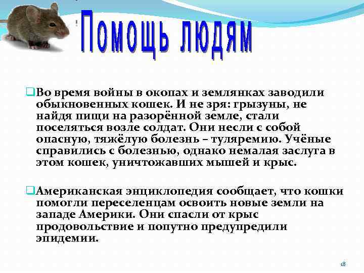 q Во время войны в окопах и землянках заводили обыкновенных кошек. И не зря: