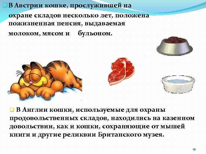 q В Австрии кошке, прослужившей на охране складов несколько лет, положена пожизненная пенсия, выдаваемая