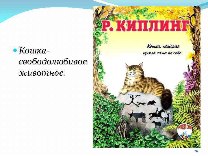  Кошкасвободолюбивое животное. 22 