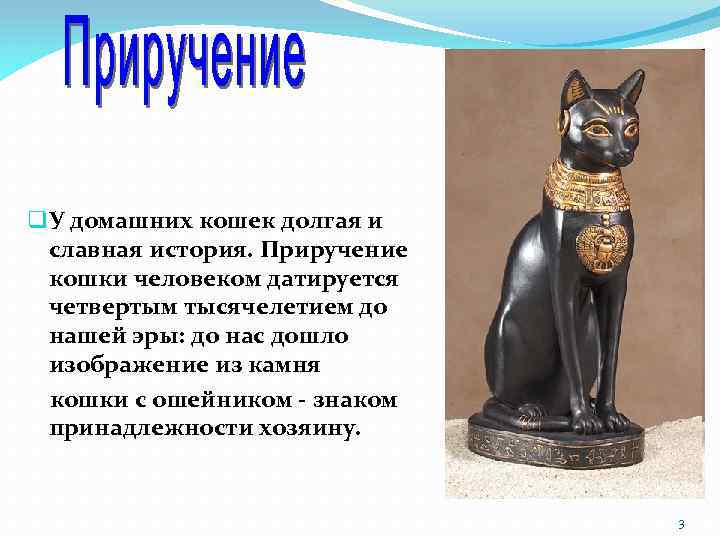 q У домашних кошек долгая и славная история. Приручение кошки человеком датируется четвертым тысячелетием