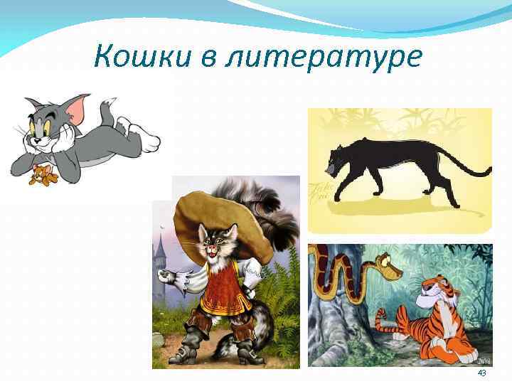 Кошки в литературе 43 