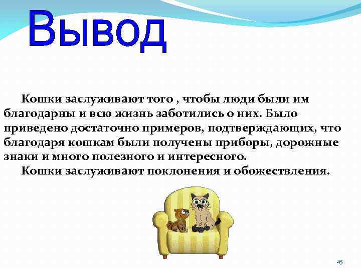 Кошки заслуживают того , чтобы люди были им благодарны и всю жизнь заботились о