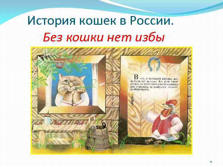 История кошек в России. Без кошки нет избы 7 