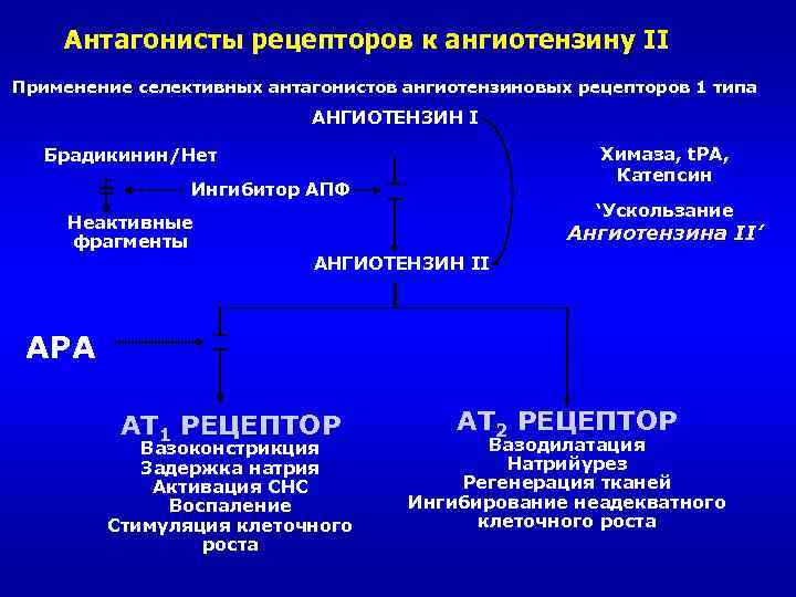 Антагонисты рецепторов к ангиотензину II Применение селективных антагонистов ангиотензиновых рецепторов 1 типа АНГИОТЕНЗИН I