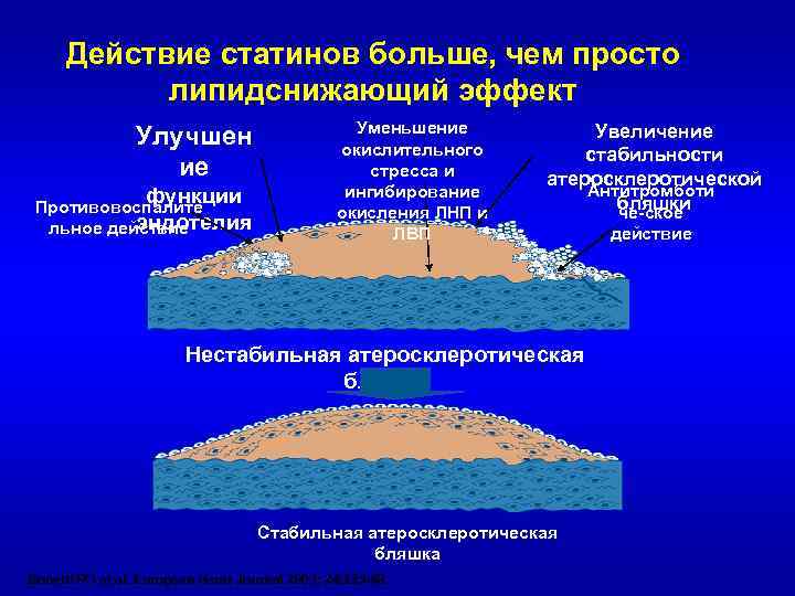 Действие статинов больше, чем просто липидснижающий эффект Улучшен ие функции Противовоспалите эндотелия льное действие