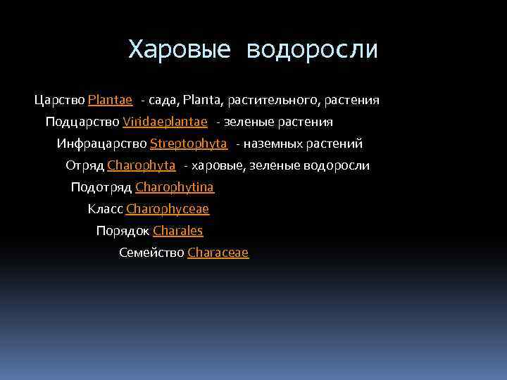 Харовые водоросли Царство Plantae - сада, Planta, растительного, растения Подцарство Viridaeplantae - зеленые растения