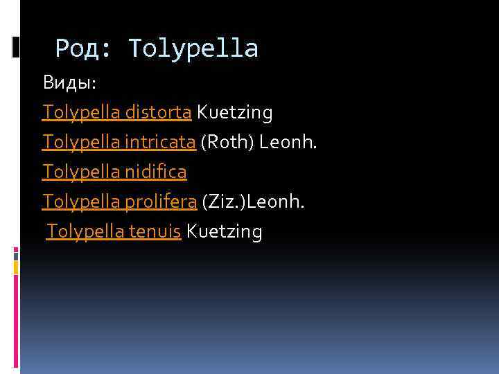 Род: Tolypella Виды: Tolypella distorta Kuetzing Tolypella intricata (Roth) Leonh. Tolypella nidifica Tolypella prolifera