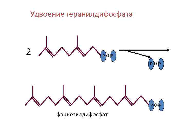 Удвоение геранилдифосфата 2 Р-О-Р фарнезилдифосфат 