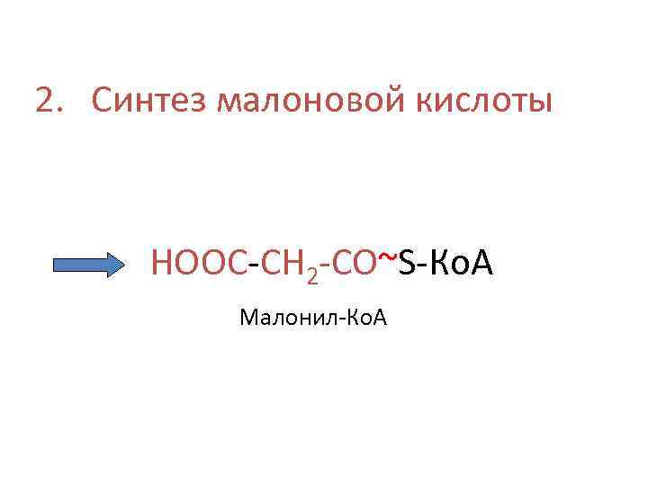 2. Синтез малоновой кислоты НООС-СН 2 -СО~S-Ко. А Малонил-Ко. А 