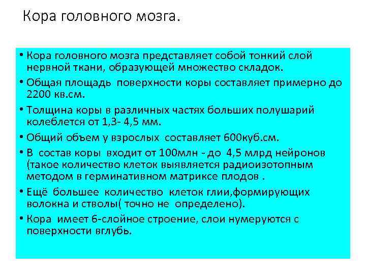 Кора головного мозга. • Кора головного мозга представляет собой тонкий слой нервной ткани, образующей