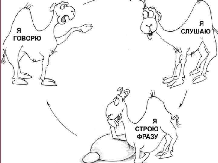  • Наша речь является непрерывным замкнутым циклом, «круговым» процессом. • Артикуляция (от лат.