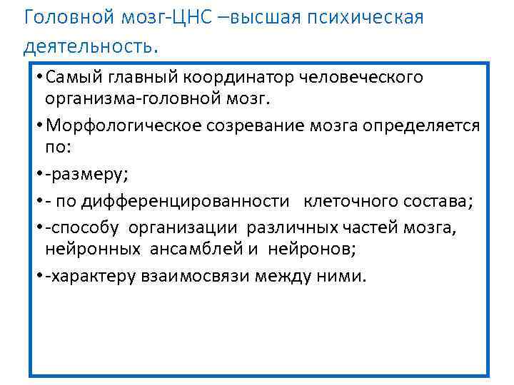 Головной мозг-ЦНС –высшая психическая деятельность. • Самый главный координатор человеческого организма-головной мозг. • Морфологическое