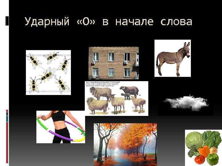 Ударный «О» в начале слова 