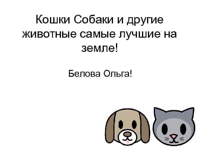 Кошки Собаки и другие животные самые лучшие на земле! Белова Ольга! 
