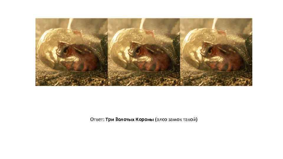 Ответ: Три Золотых Короны (алсо замок такой) 