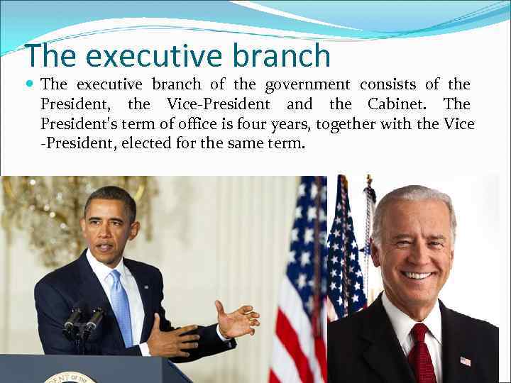 The executive branch of the government consists of the President, the Vice-President and the