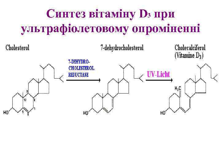 Синтез вітаміну D 3 при ультрафіолетовому опроміненні 