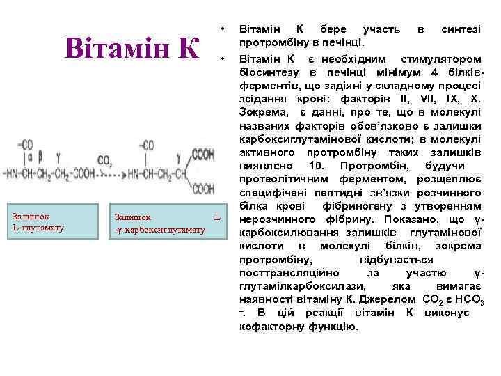 Вітамін К Залишок L-глутамату • • Залишок L -γ-карбоксиглутамату Вітамін К бере участь в