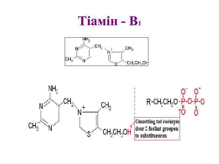 Тіамін - B 1 