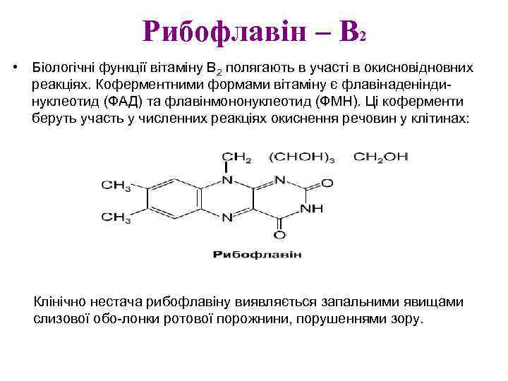 Рибофлавін – В 2 • Біологічні функції вітаміну В 2 полягають в участі в