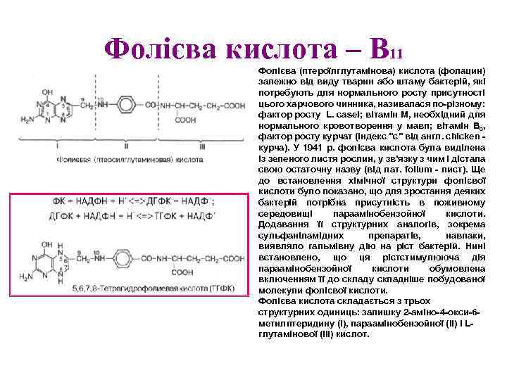 Фолієва кислота – В 11 Фолієва (птероїлглутамінова) кислота (фолацин) залежно від виду тварин або