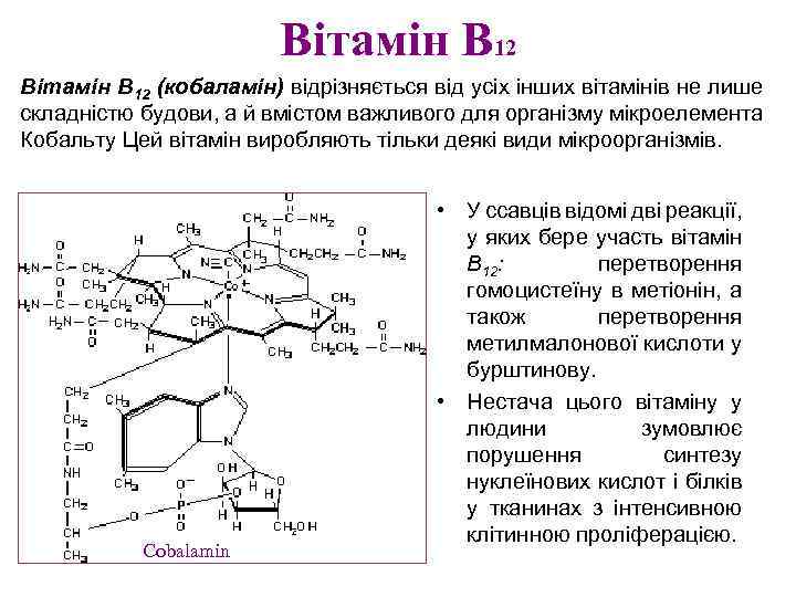 Вітамін В 12 (кобаламін) відрізняється від усіх інших вітамінів не лише складністю будови, а