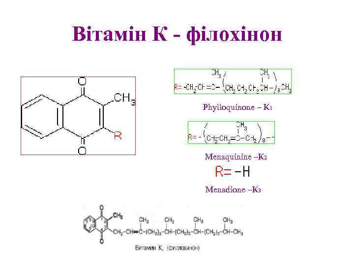 Вітамін К - філохінон Phylloquinone – К 1 Menaquinine –К 2 Menadione –К 3