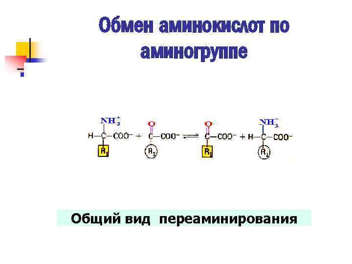 Обмен аминокислот по аминогруппе Общий вид переаминирования 