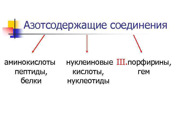 Азотсодержащие соединения аминокислоты пептиды, белки нуклеиновые III. порфирины, кислоты, гем нуклеотиды 