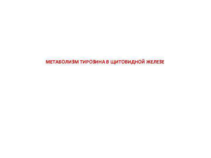 МЕТАБОЛИЗМ ТИРОЗИНА В ЩИТОВИДНОЙ ЖЕЛЕЗЕ 