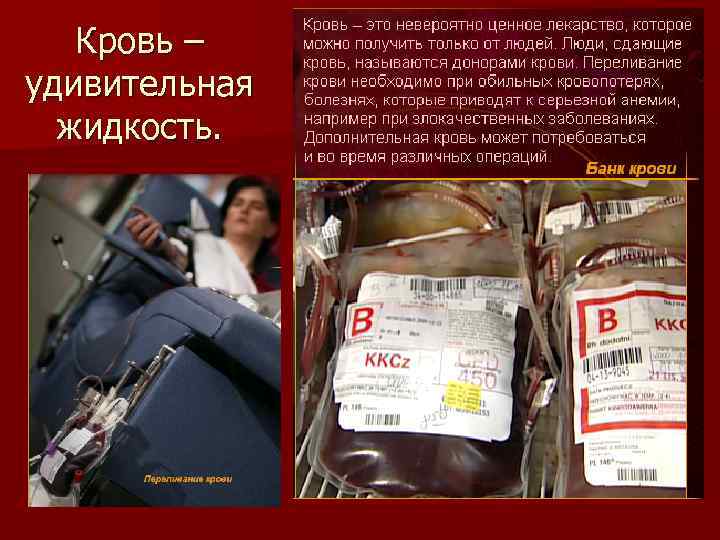 Кровь – удивительная жидкость. 